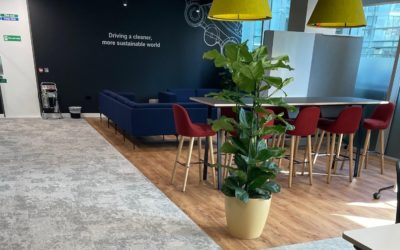 CASE STUDY: Sustainable Fit-Out Project Chooses Adhesive-Free MagTab Installation